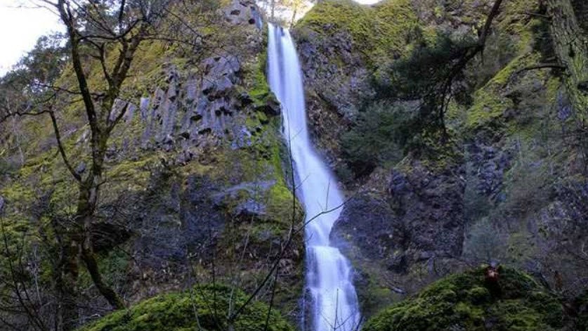 Starvation Creek State Park